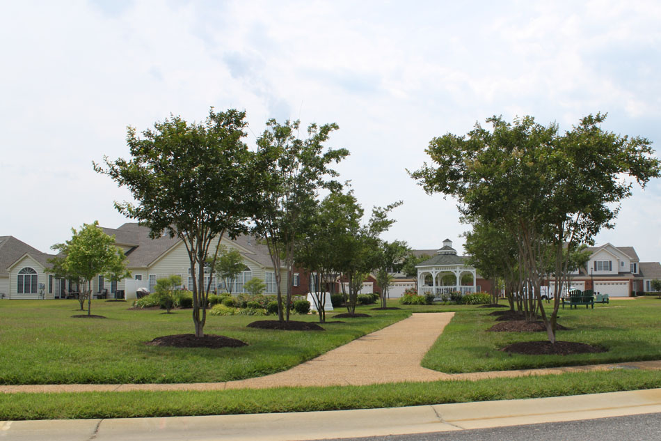 Eagle Pointe at Cahoon Plantation (55+), Eagle Pointe Way Chesapeake