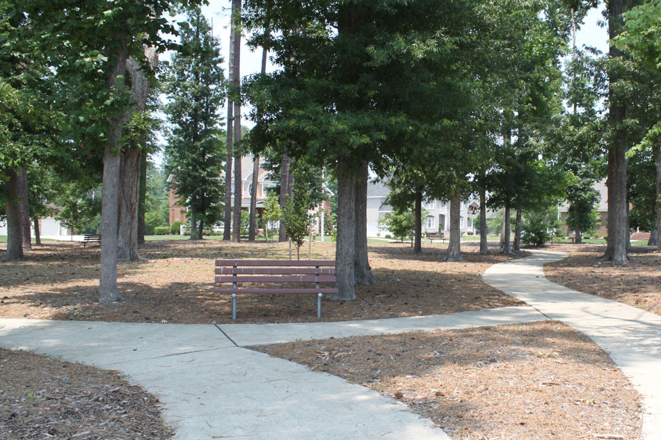 Greystone, Greystone Lane & Clearfield Ave Chesapeake Community