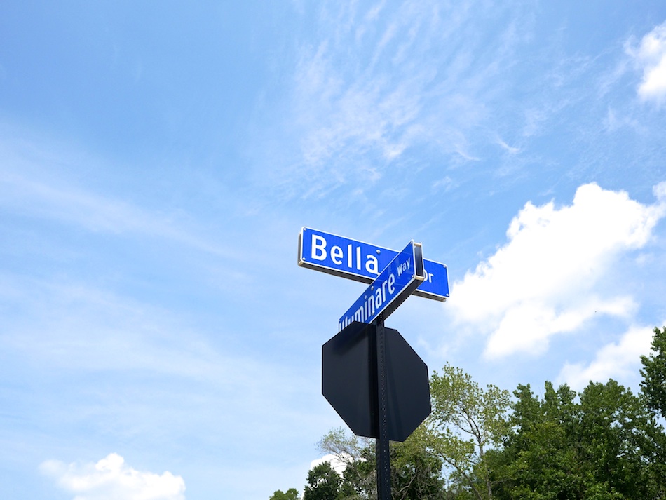 Viridian Reserve, Wisdom Path Chesapeake, VA 23322 Community