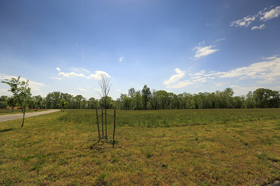 Nansemond River Estates, Cullen Lane Suffolk, VA 23435 Community