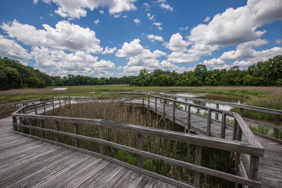 Nansemond River Estates, Cullen Lane Suffolk, VA 23435 Community