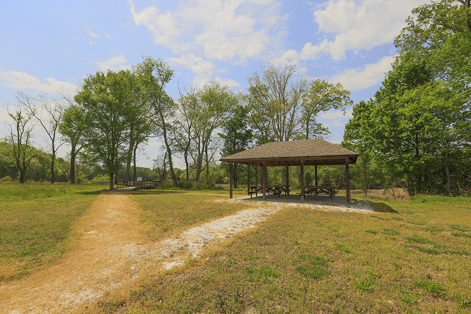 Nansemond River Estates, Cullen Lane Suffolk, VA 23435 Community