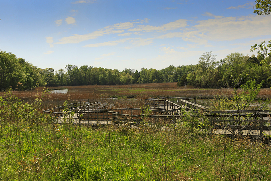 Nansemond River Estates, Cullen Lane Suffolk, VA 23435 Community